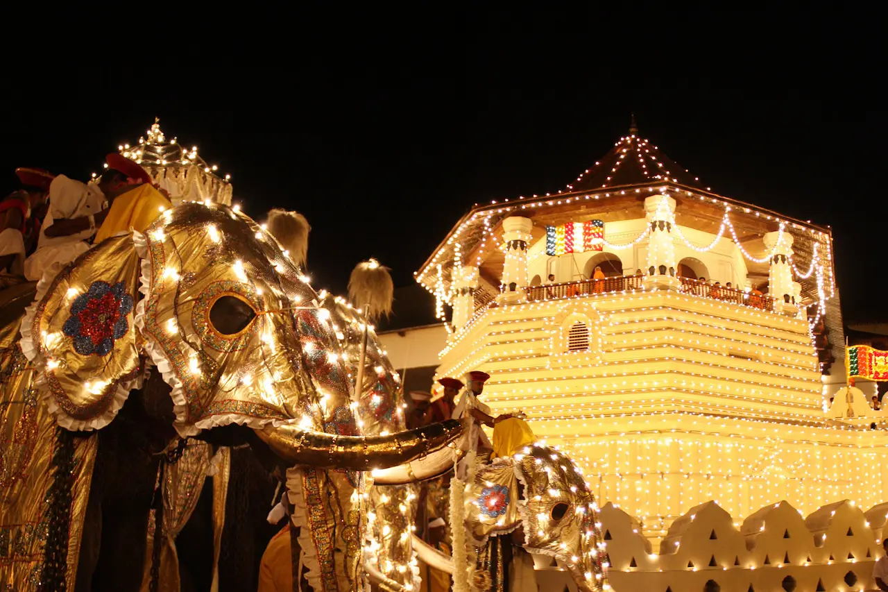 Kandy Esala Perahera procession with elephants and temple lights