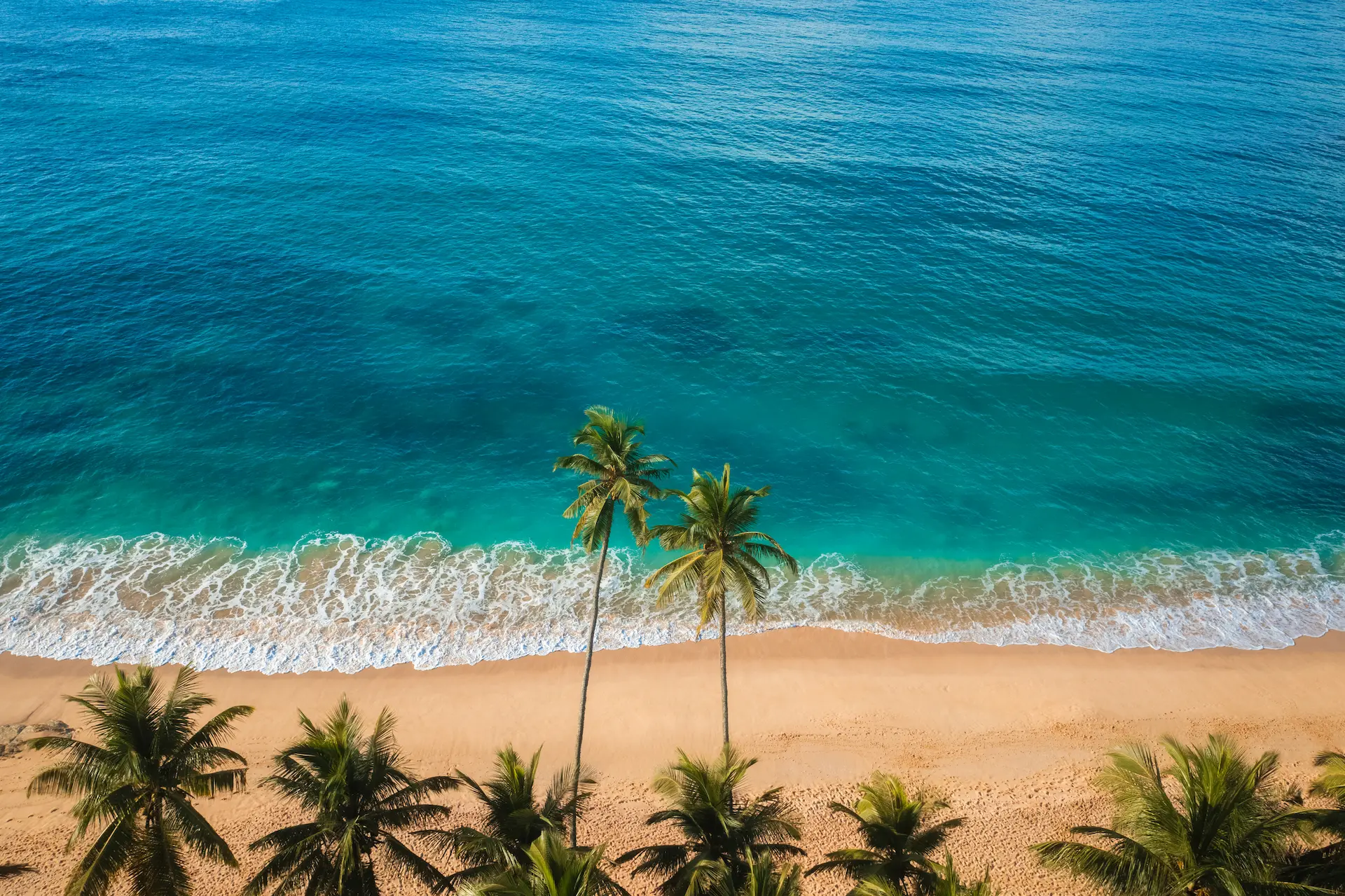 sri lanka tropical beach aerial